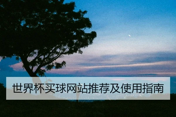 世界杯买球网站推荐及使用指南