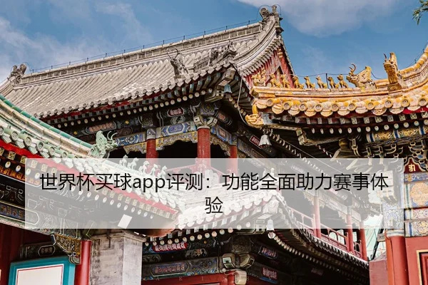 世界杯买球app评测：功能全面助力赛事体验