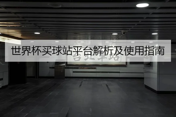 世界杯买球站平台解析及使用指南