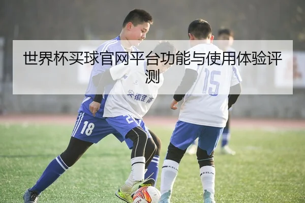 世界杯买球官网平台功能与使用体验评测