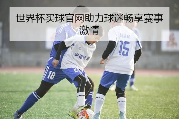 世界杯买球官网助力球迷畅享赛事激情