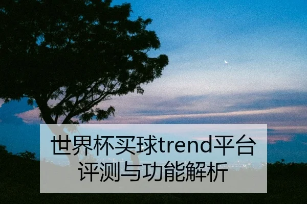 世界杯买球trend平台评测与功能解析