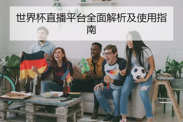 世界杯直播平台全面解析及使用指南