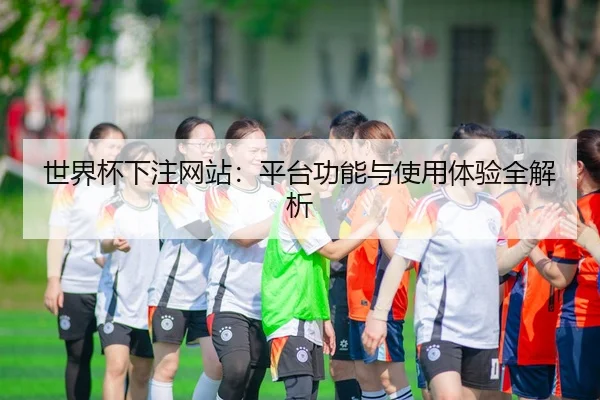 世界杯下注网站：平台功能与使用体验全解析