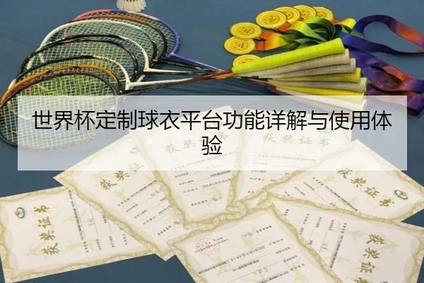 世界杯定制球衣平台功能详解与使用体验